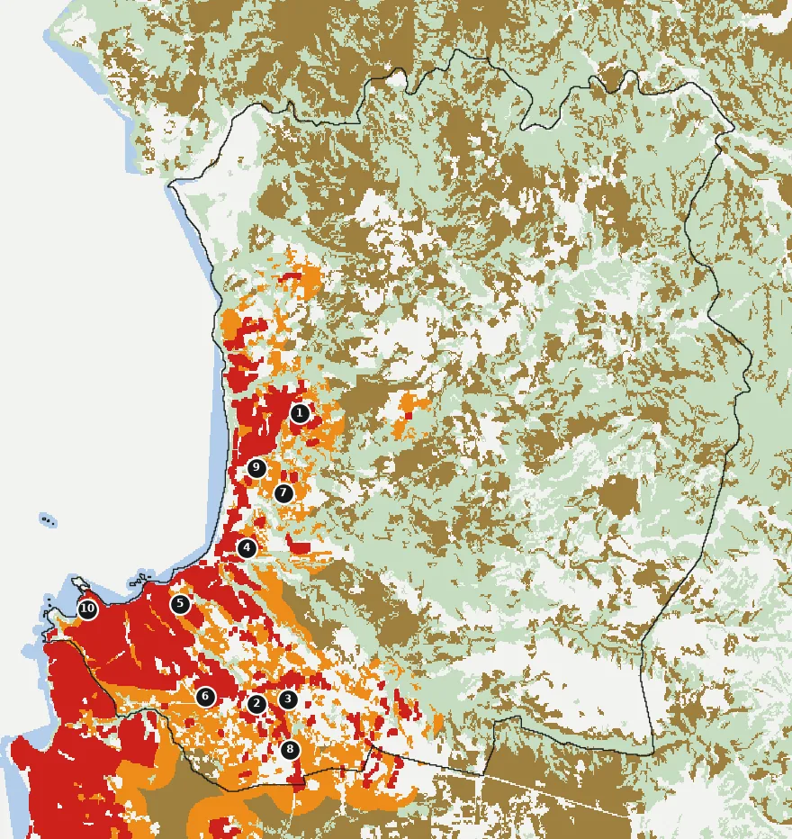 Mapa de Algarrobo con las zonas pobladas, la plantación forestal a menos de 500 m y el área quemada entre 2023 y 2025