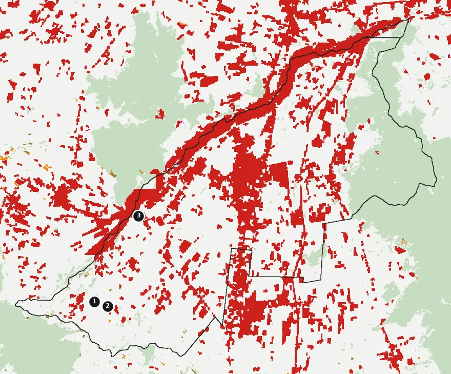Mapa de Buin con las zonas pobladas, la plantación forestal a menos de 500 m y el área quemada entre 2023 y 2025