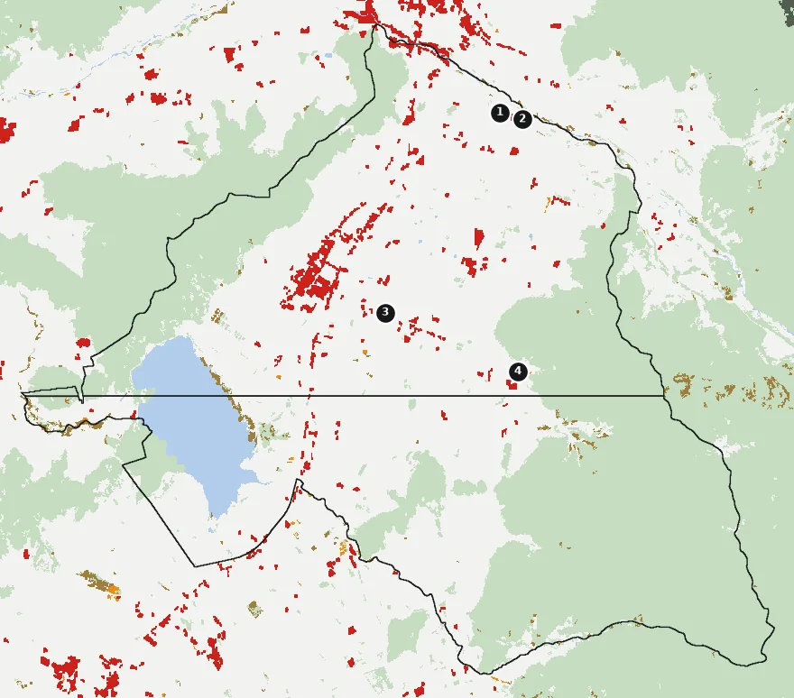 Mapa de Chimbarongo con las zonas pobladas, la plantación forestal a menos de 500 m y el área quemada entre 2023 y 2025