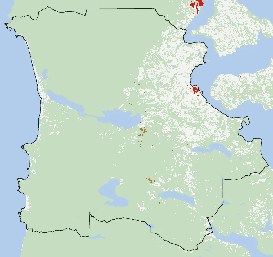 Mapa de Chonchi con las zonas pobladas, la plantación forestal a menos de 500 m y el área quemada entre 2023 y 2025