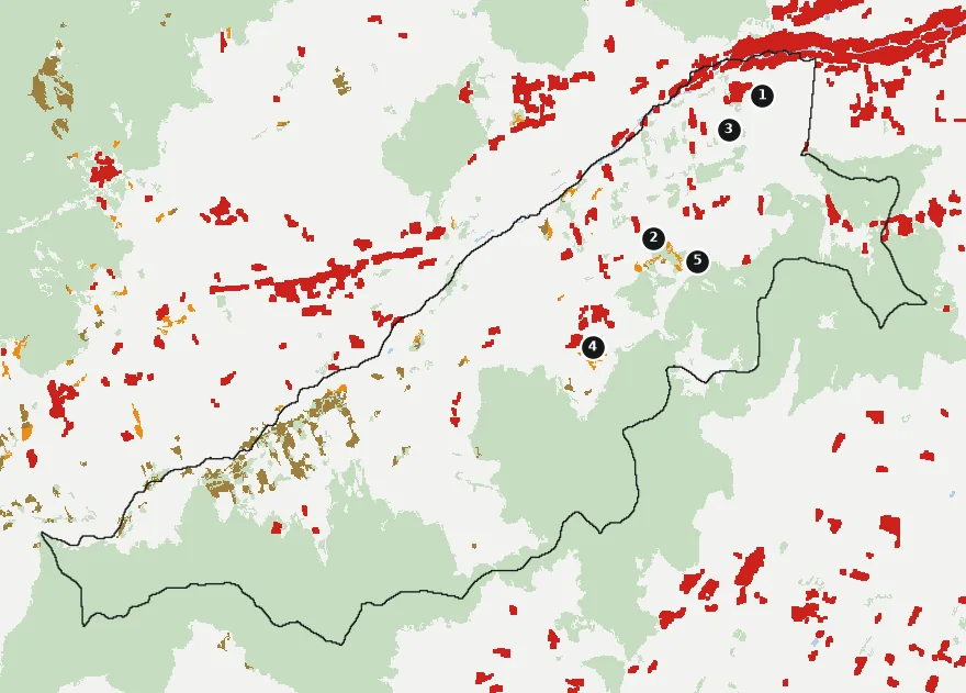 Mapa de Coinco con las zonas pobladas, la plantación forestal a menos de 500 m y el área quemada entre 2023 y 2025