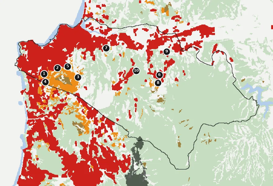 Mapa de Concón con las zonas pobladas, la plantación forestal a menos de 500 m y el área quemada entre 2023 y 2025