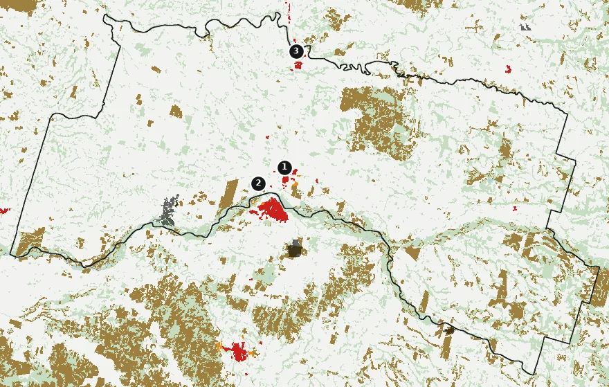 Mapa de Freire con las zonas pobladas, la plantación forestal a menos de 500 m y el área quemada entre 2023 y 2025