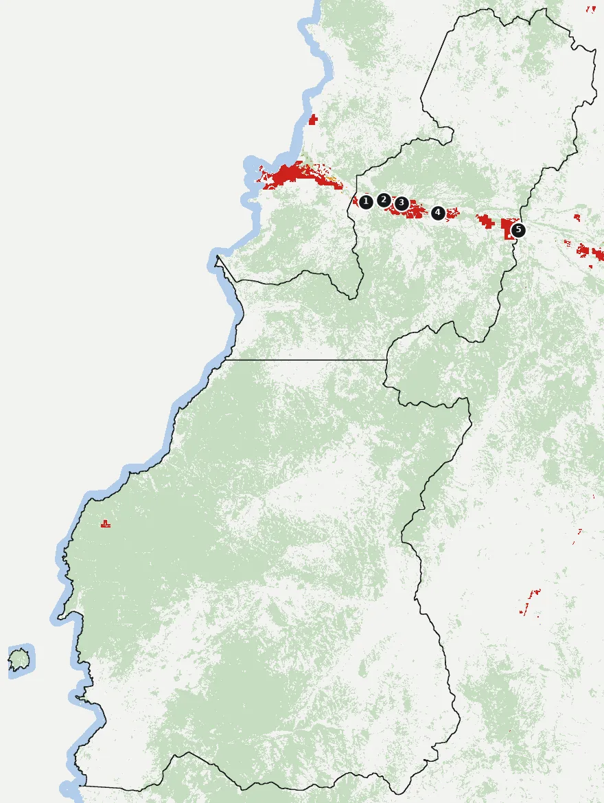 Mapa de Freirina con las zonas pobladas, la plantación forestal a menos de 500 m y el área quemada entre 2023 y 2025
