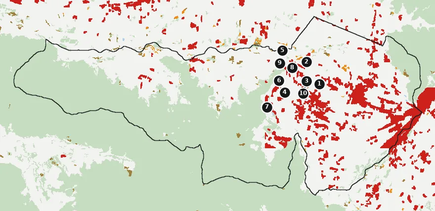 Mapa de Isla de Maipo con las zonas pobladas, la plantación forestal a menos de 500 m y el área quemada entre 2023 y 2025