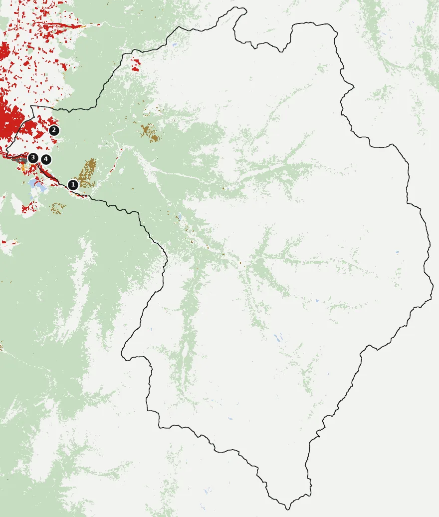 Mapa de Machalí con las zonas pobladas, la plantación forestal a menos de 500 m y el área quemada entre 2023 y 2025