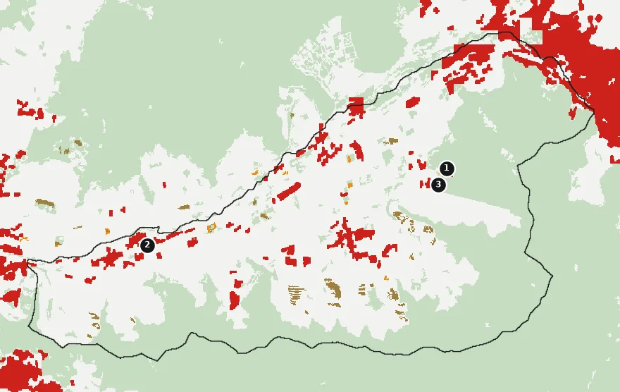 Mapa de Panquehue con las zonas pobladas, la plantación forestal a menos de 500 m y el área quemada entre 2023 y 2025