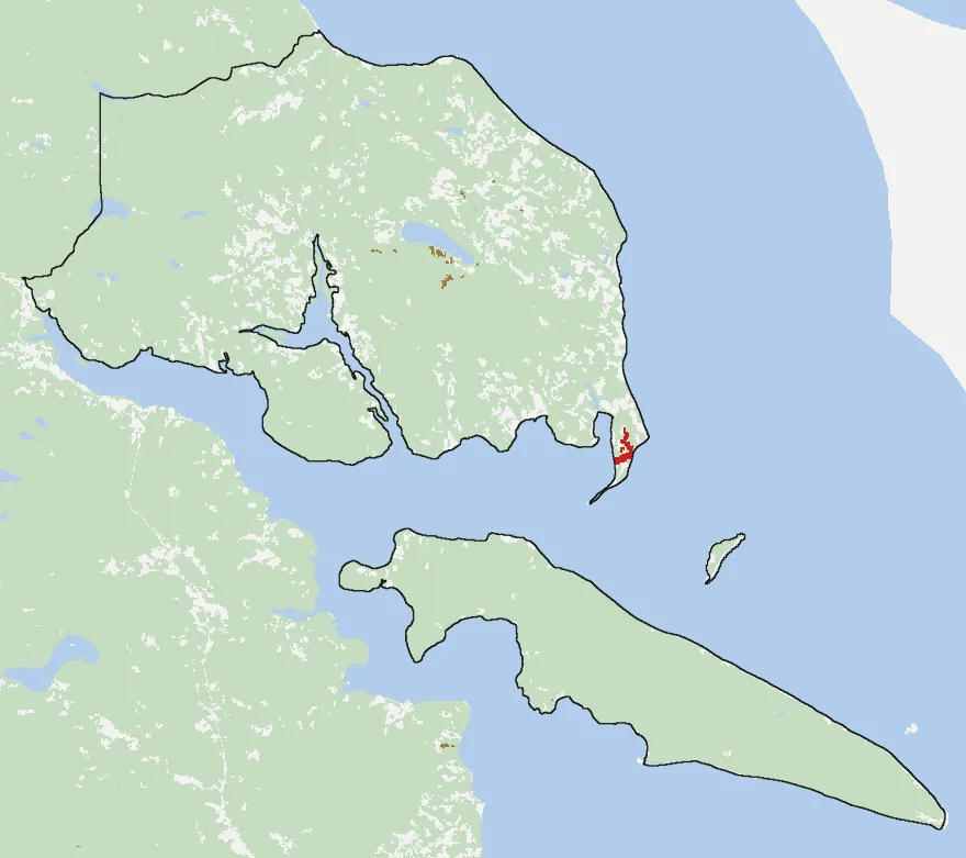 Mapa de Queilén con las zonas pobladas, la plantación forestal a menos de 500 m y el área quemada entre 2023 y 2025