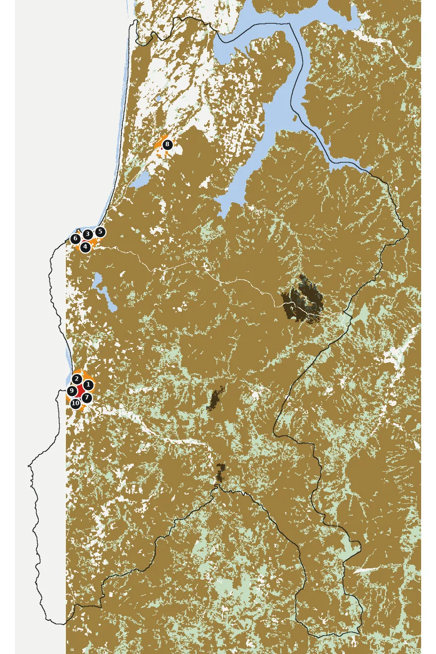 Mapa de Tirúa con las zonas pobladas, la plantación forestal a menos de 500 m y el área quemada entre 2023 y 2025