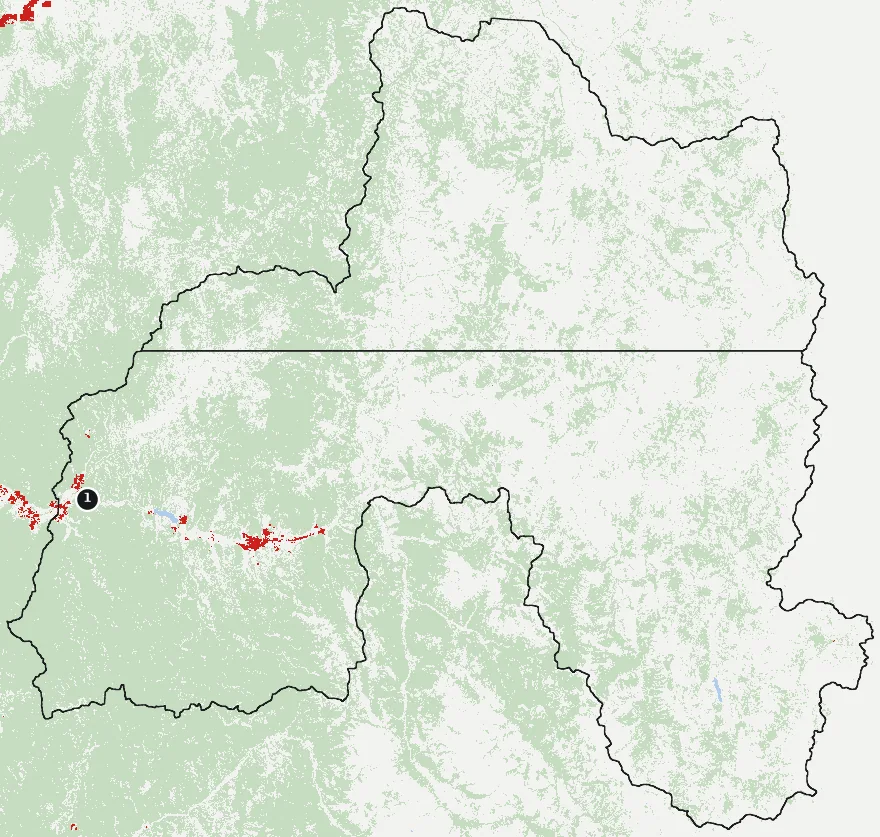 Mapa de Vicuña con las zonas pobladas, la plantación forestal a menos de 500 m y el área quemada entre 2023 y 2025