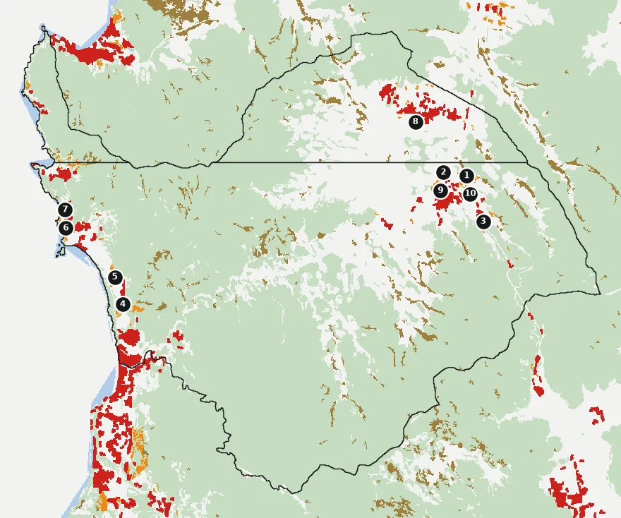 Mapa de Zapallar con las zonas pobladas, la plantación forestal a menos de 500 m y el área quemada entre 2023 y 2025